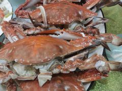 -金海湾海鲜排档(朱家尖店)