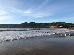 -渔寮风景区