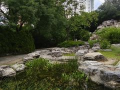 -莲花池公园