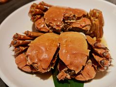 -小厨娘金榜题名(夫子庙秦淮河店)