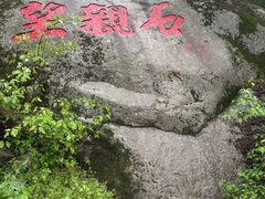 -王顺山国家森林公园
