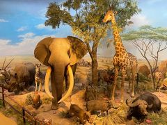 -陕西自然博物馆