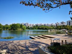-新江湾城公园