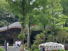 -东明山森林公园