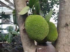 -长春农博园