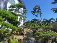 -罗红摄影艺术馆