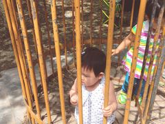 -北京麋鹿生态实验中心
