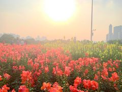 -海心沙亚运公园