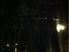 竹林-上海艾本精品酒店