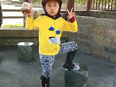 -松声马术俱乐部