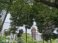 -塔子山公园