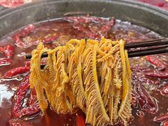 -扎起市井老火锅(乐山总店)