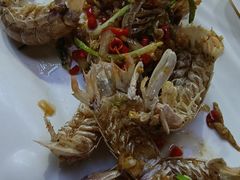 -肥仔濑尿虾(全球通总店)