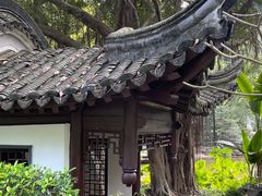 -深圳国际园林花卉博览园