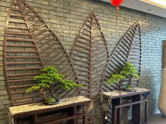 -大自然会所(阳光店)