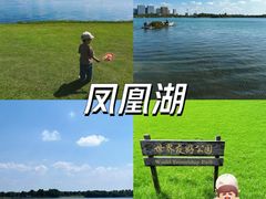-桐乡凤凰湖