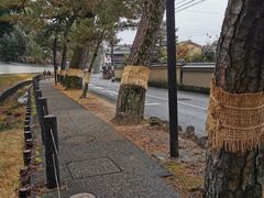 -醍醐寺