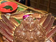 松涛-松涛日本料理
