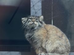 -青藏高原野生动物园