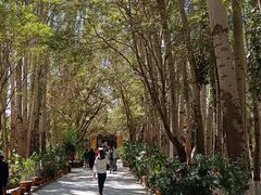 -艾提尕尔清真寺