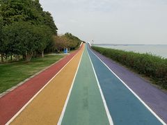 -贡湖湾湿地公园