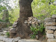 -井塘古村