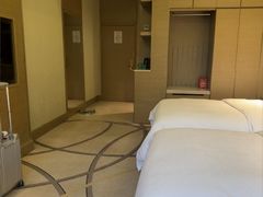 -圣爵菲斯大酒店(长沙世界之窗店)