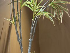 -大丰收·李家(浦西万达店)