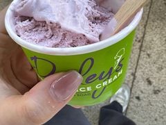 -Dooley's Premium Ice Cream