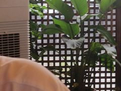 -满格嗦新疆椒麻鸡火锅.炒米粉(川大江安校区店)