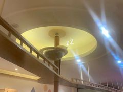 -滚猫咖啡·猫咖·猫友好撸猫(未来城店)