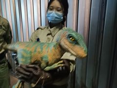 -侏罗纪世界电影特展(广州站)