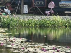 -永定河休闲森林公园