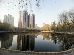 -团结湖公园