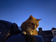 -爱派特动物医院·全科诊疗中心