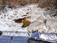 -青峰峡国家森林公园