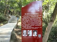 -黄埔油麻山森林公园