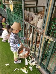 点击看大图 -小蜜蜂农场(凯德七宝购物广场店)