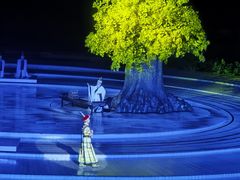 -鼎盛王朝康熙大典实景演出