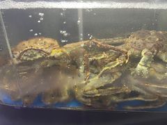 -蟹之国·精品蟹料理(极地店)