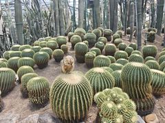 -南山植物园