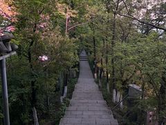 -云碧峰国家森林公园