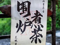 -峡谷浮石林景区