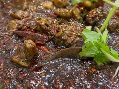 招牌红烧兔-温江公平红烧兔(总店)