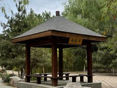 -大兴滨河森林公园