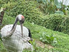-沈阳森林动物园