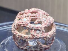 -鸿山遗址博物馆