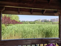 -永定河休闲森林公园