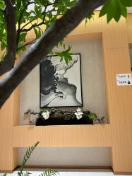 -半岛故事·法儿曼抗衰·indiba中心