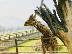 -西安秦岭野生动物园